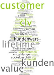 Customer Lifetime Value  CLV