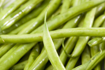 A fresh green string bean