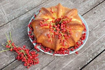 A delicious cake home with a red cherry