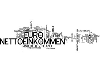 Nettoeinkommen