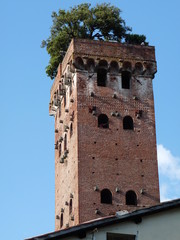 Fototapeta na wymiar Wieża Guinigi