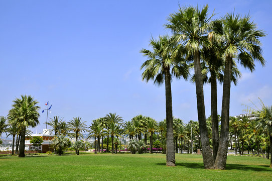 Jardin De La Promenade De La Croisette à Cannes En France