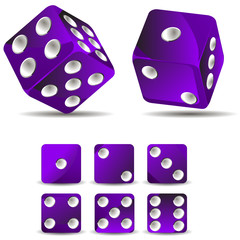 set of purple dices isolated on white background