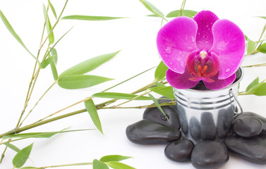 Fototapeta na wymiar Ambiance zen avec bambou galets et orchidée