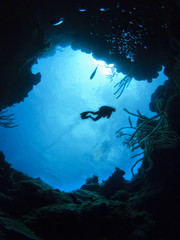 Scuba Diver in the caribbean sea