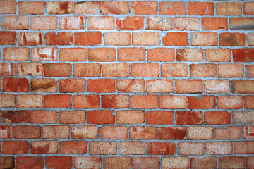 Fototapeta premium Brick wall.
