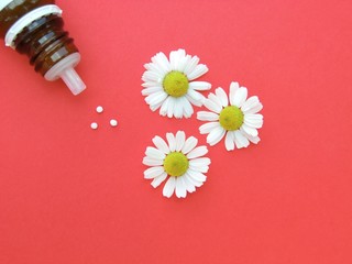 Kamillenblüten und Streukügelchen/ Globuli, Homöopathie, Alternative Heilkunde
