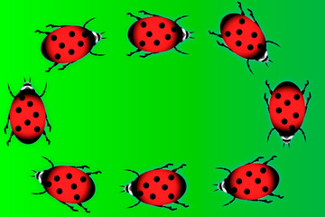 Ladybugs on green background