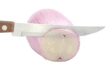 Affettare la cipolla. Cutting an onion