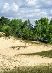 Sand-dune.