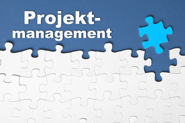 Projektmanagment
