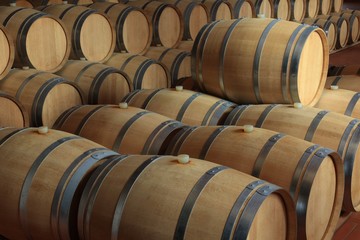 Weinkeller Barrique Rotwein Holzfässer Piemont, Italien - 34003695