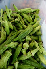 Fresh okra