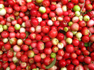 lingonberry before cleaning, the background