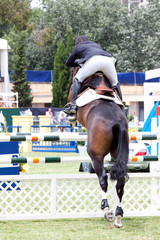 Equastrian competitor jumps from the back
