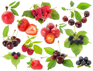 collection of berries