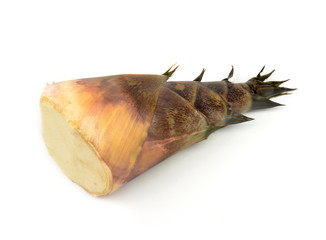bamboo shoot isolated