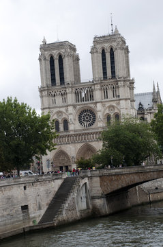Fototapeta notre dame
