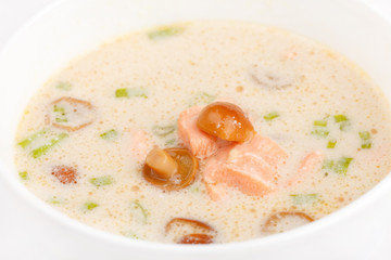 Soup made from Coco Milk and Mushrooms