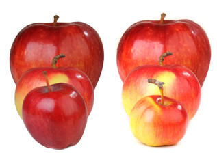 Apple red