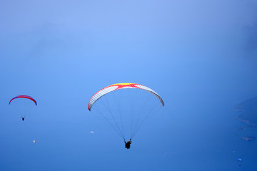 paragliders