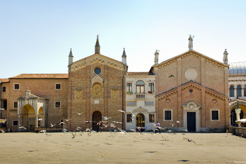 Fototapeta premium Doves in the square