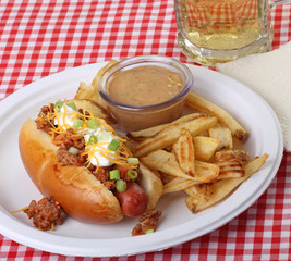 Chili Dog and Fries