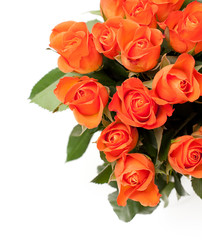 orange roses and empty space for your text