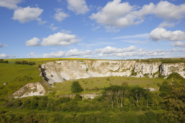 Fototapeta na wymiar old limestone quarry