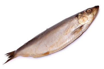 Seafood