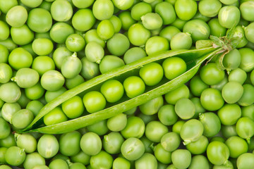 Fresh green pea pod on a pea grains pile