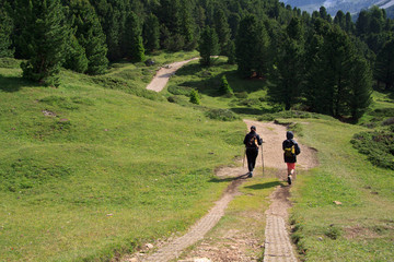 sentiero all' alpe di Cisles - Val Gardena