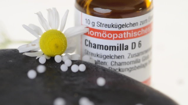 Globuli auf Stein mit Kamille chamomilla