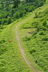 Green pathway beside the hill