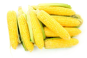 Corn isolated on white