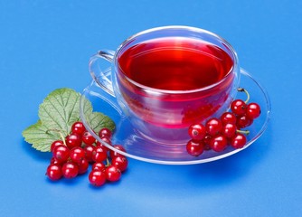 Red currant tea