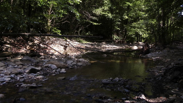 brook in the North Caucasus mountains