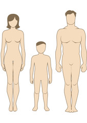 Male, female and child body shapes