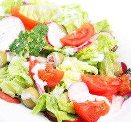 frischer salat