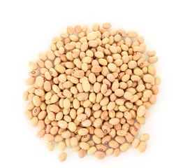 beans isolated on white