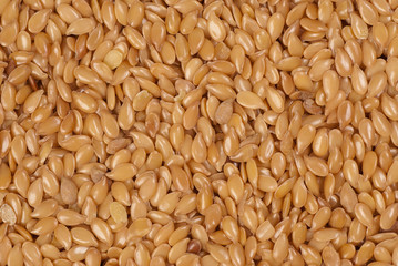 Linseed