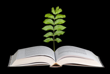 sapling growing from open book