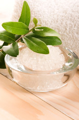 Sea Salt With Fresh Olive Branch. Spa And Wellness