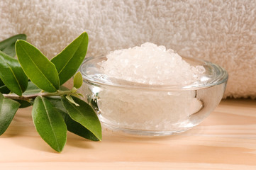 Sea Salt With Fresh Olive Branch. Spa And Wellness