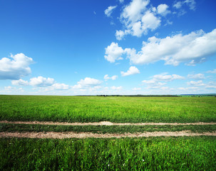 Fototapeta na wymiar Rural road in the green meadow and blue sky with clouds