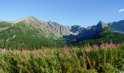 górska grań 3 © GKor