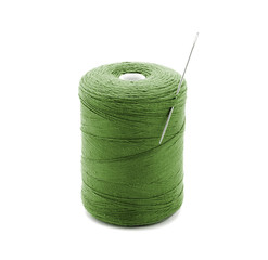 The coil of green thread with a needle.