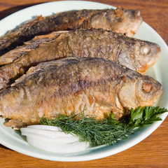 Fried fish crucian in plate