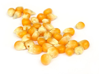 Corns over white background