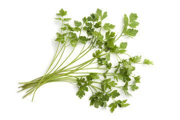 Fresh flat-leave parsley